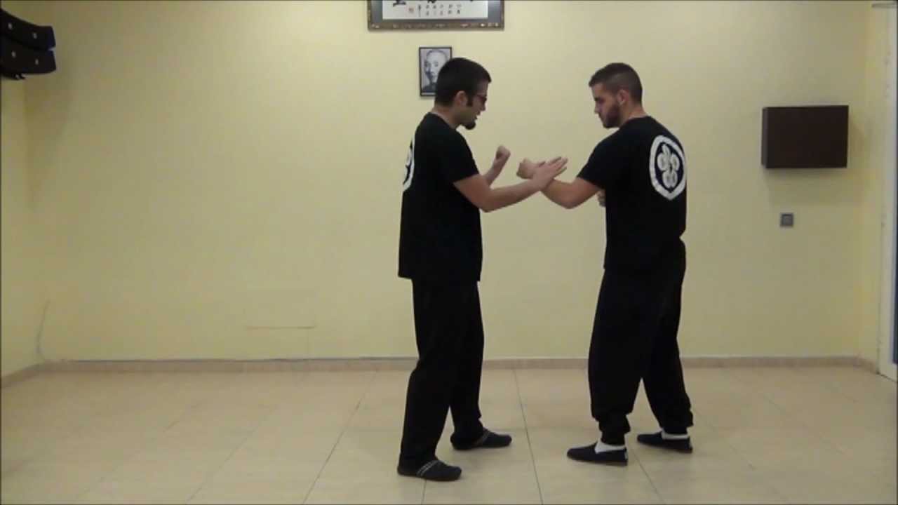 Wing Chun - Siu Nim Tao: pak sao y palma