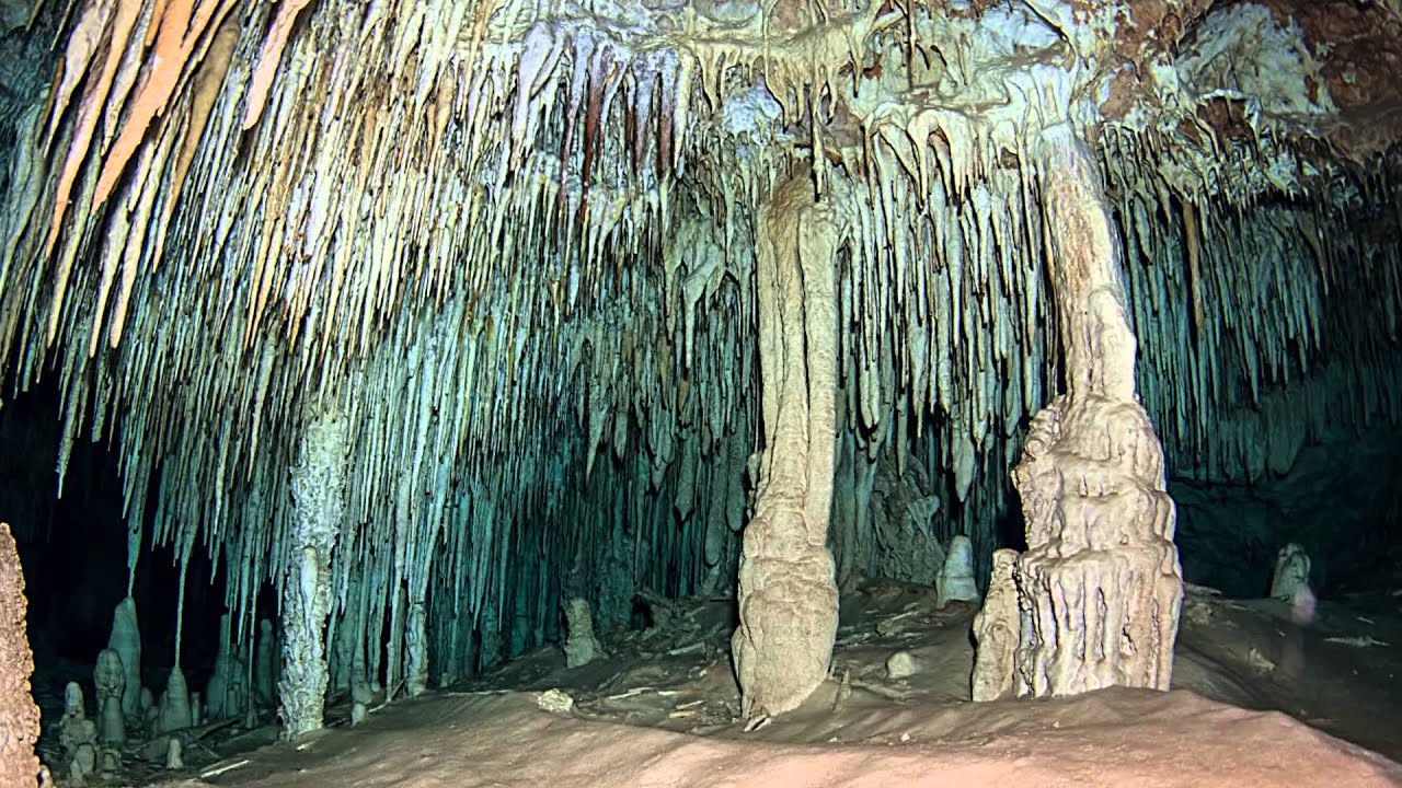 Cave Diving in Cenote Doggi, Mexico with Steve Martin