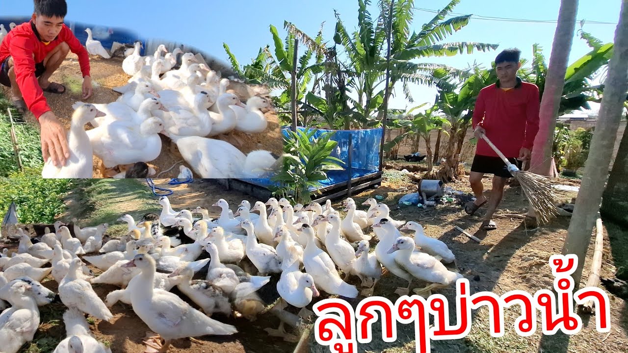 ความสุขเล็กๆน้อยๆของบ่าวน้ำ