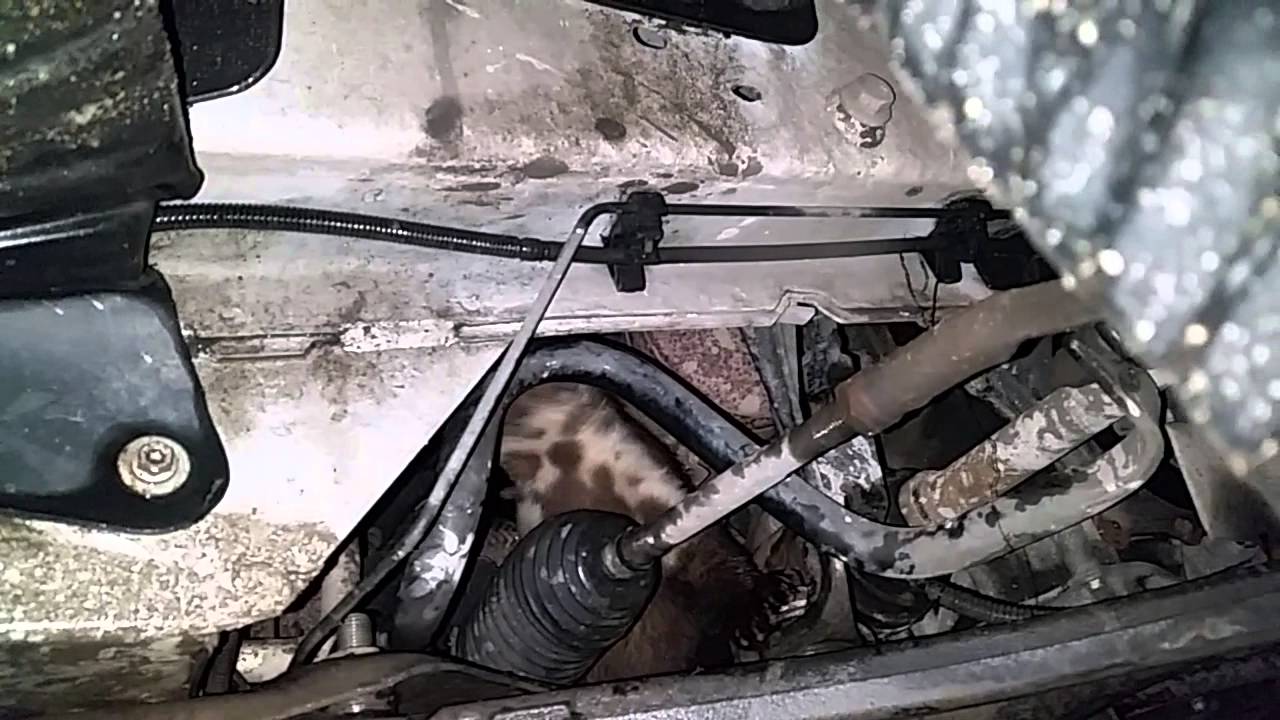 Kł&oacute;tnia mechanikow podczas naprawy . Repairing car