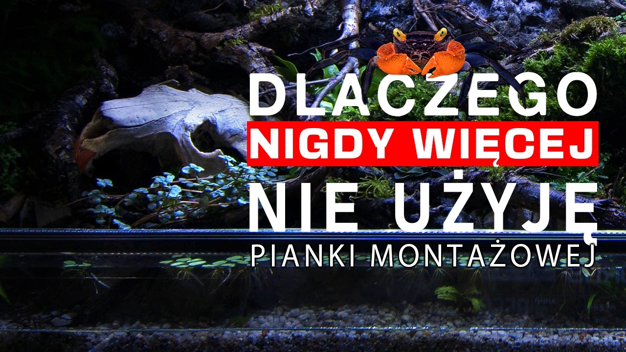 🦀 OLBRZYMIE PALUDARIUM DLA KRABÓW WAMPIRÓW - KROK PO KROKU