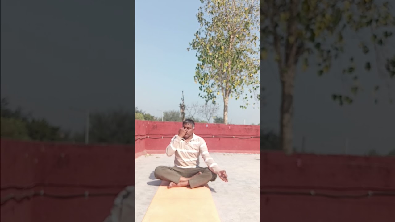 हर रोज  प्राणायाम तो  कर ही  सकते हैं 