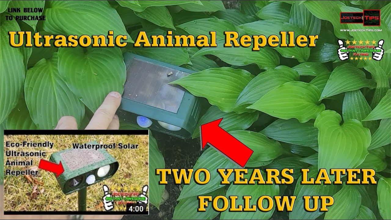 Solar Animal Repeller - Two years later | JoeteckTips