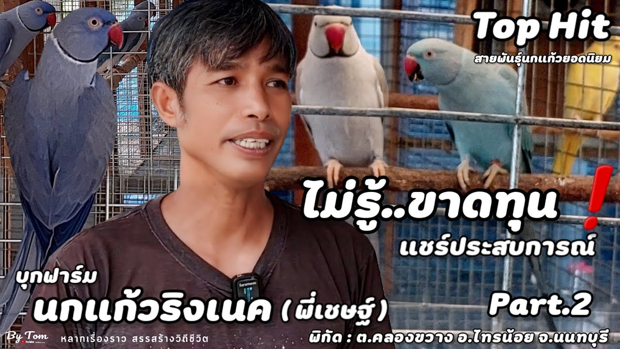 บุกสวนและฟาร์ม | นกแก้วริงเนค(พี่เชษฐ์)แนะนำคนที่เลี้ยง