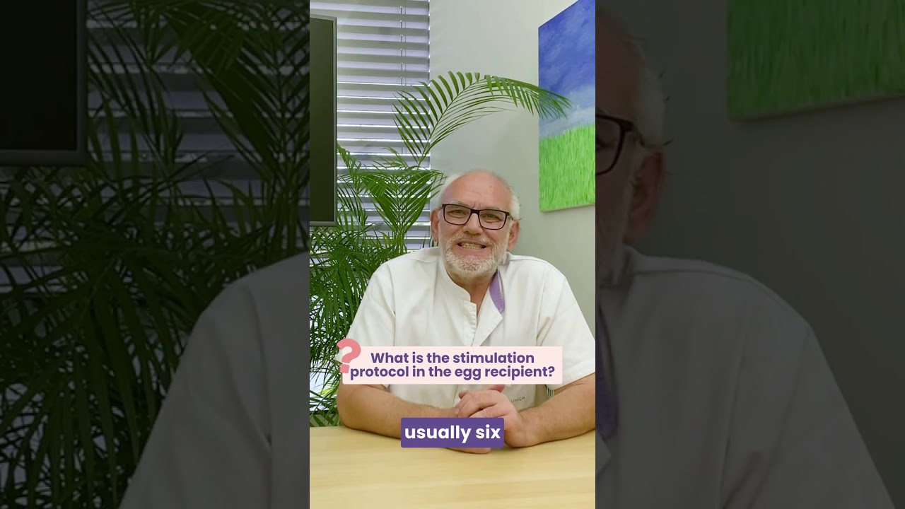 What is the stimulation protocol in the egg recipient?