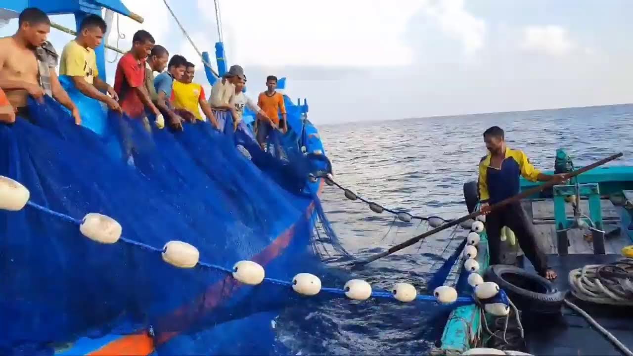Pukat cincin, Nelayan Indonesia Dapat Banyak Ikan Tuna, luar biasa hasil tangkapan Nelayan Indonesia