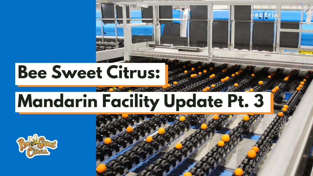 Bee Sweet Citrus: Mandarin Facility Update Pt. 3