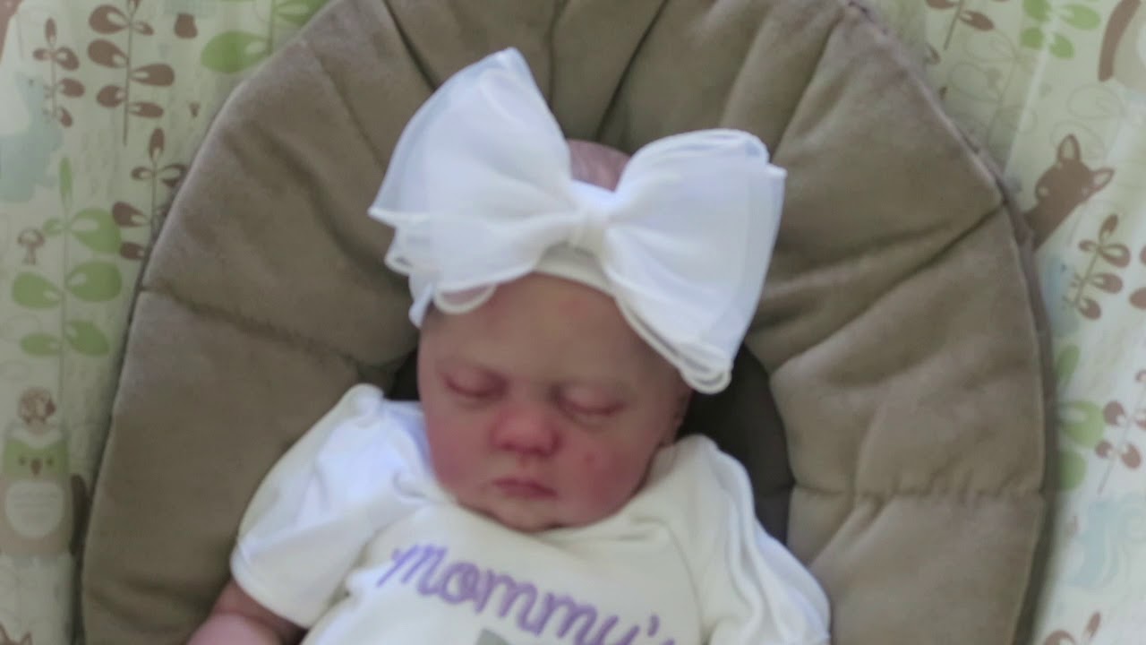 10 Reborn Baby Journal Ideas!