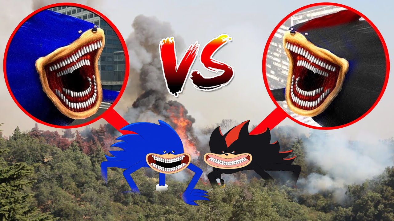 SHIN SONIC VS SHIN SHADOW *Who Will Win?*
