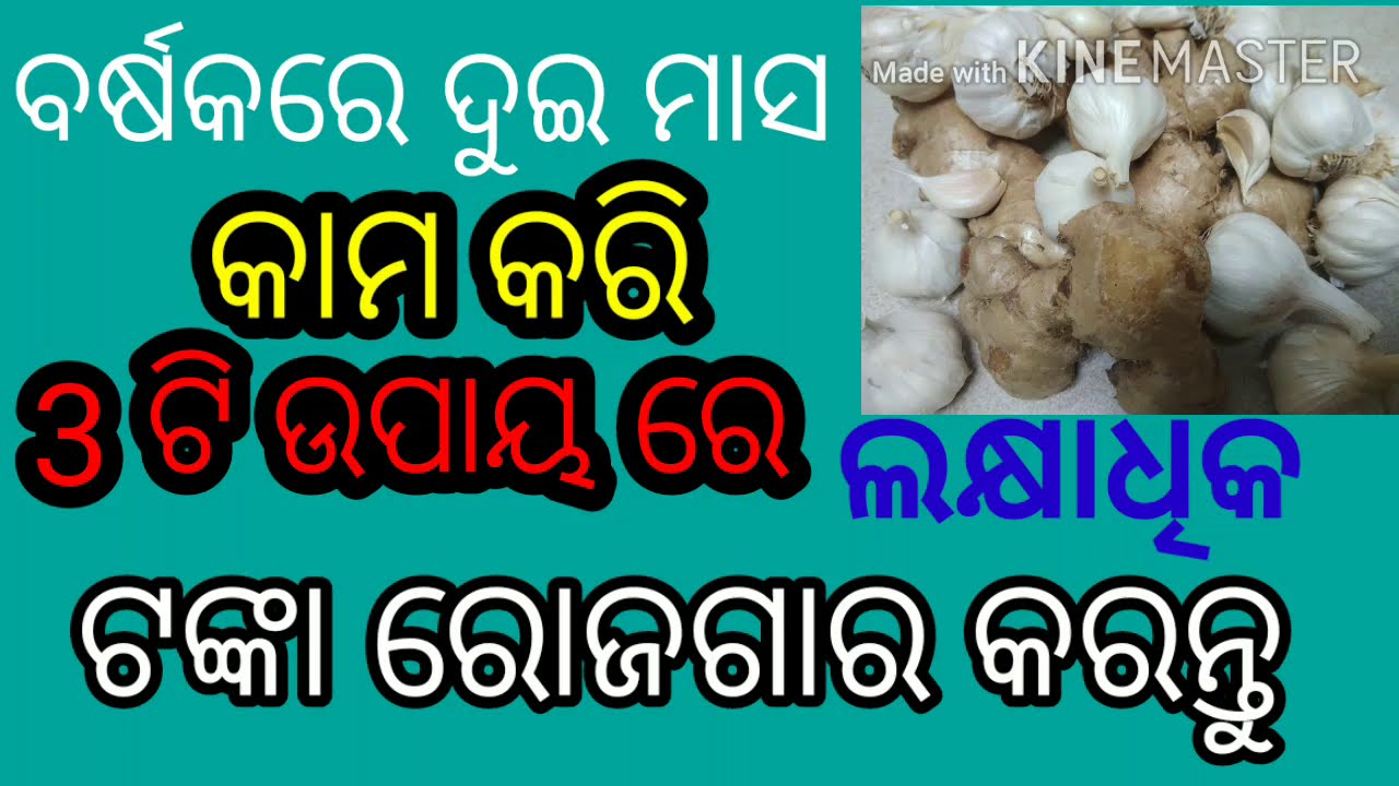 Wholesale Business ideas odia, Easy business idea in odia,