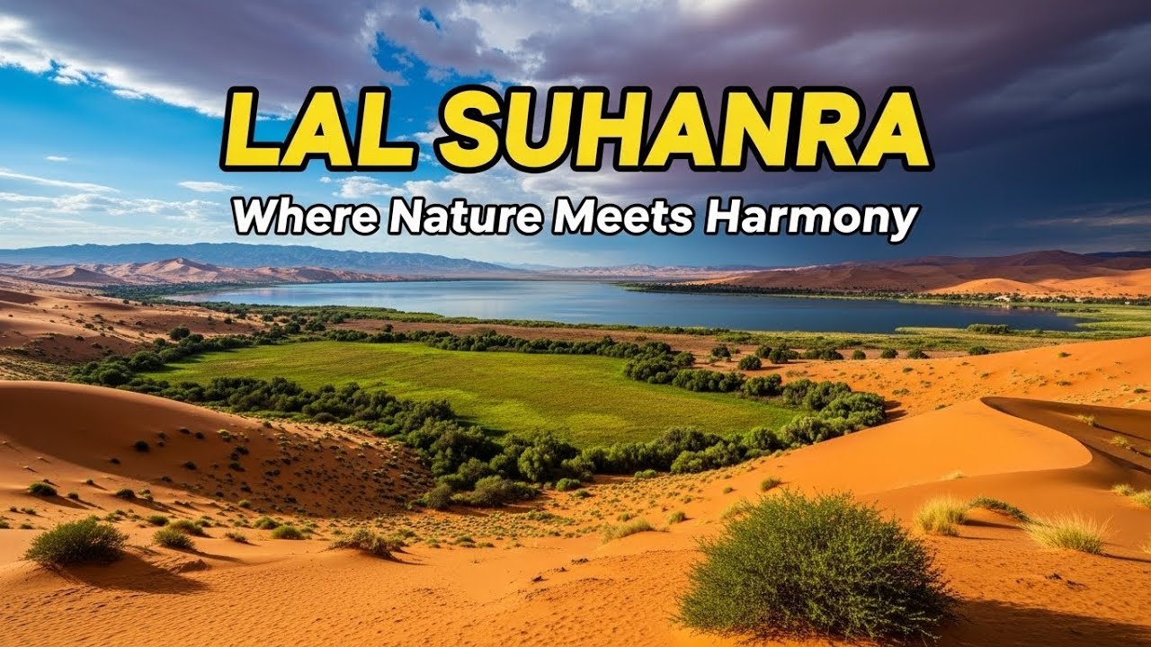 Lal Suhanra National Park | Beautiful Wildlife Habitat in Bahawalpur