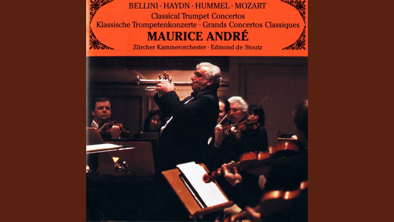Oboe Concerto in D Major, Hob. VIIg:C1: I. Allegro spiritoso (Perf. by Trumpet and Orchestra)