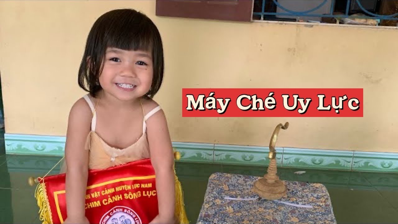 Máy Ché Uy Lực Thông Cờ Nội Bộ || Khổ Luyện Lấy Kinh Nghiệm Trận Mạc || Trại chim cảnh BG