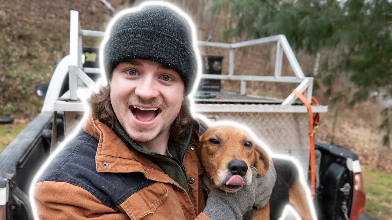 I Hunt BEARS with DOGS - Pack Update!