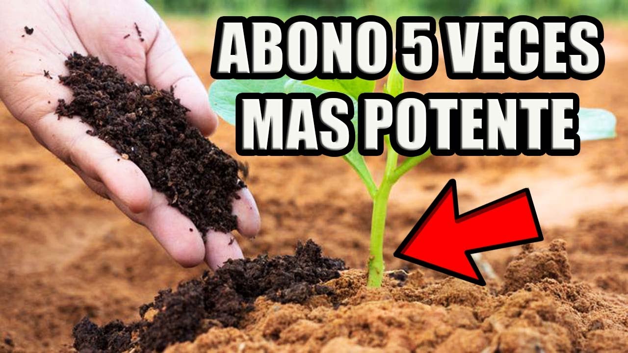 El Mejor Fertilizante Ecologico del Mundo / HUMUS DE LOMBRIZ