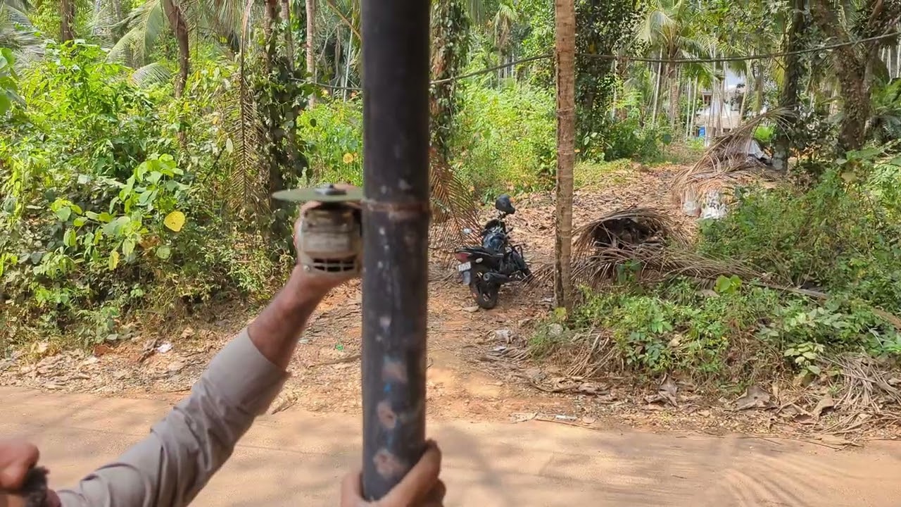 കുറച്ച് ചെറുതേൻ എടുത്താലോ.. ഗായ്സ്