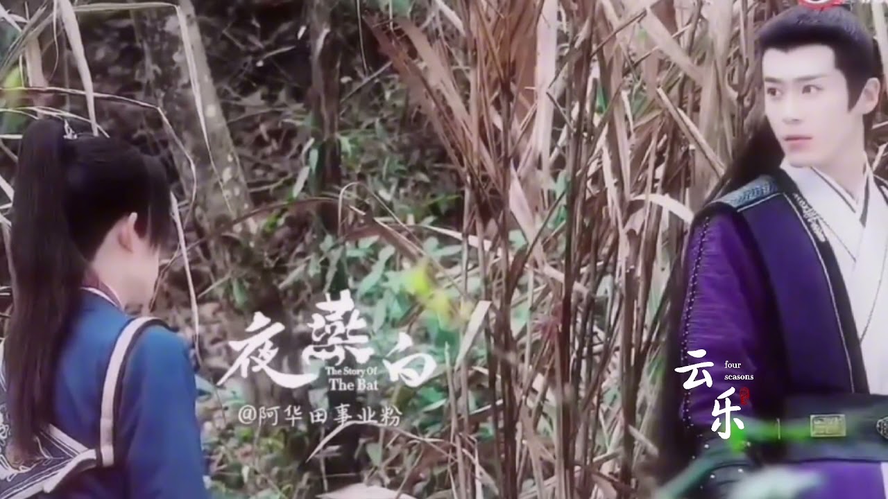The story of The bat夜燕白|Chinese bl drama