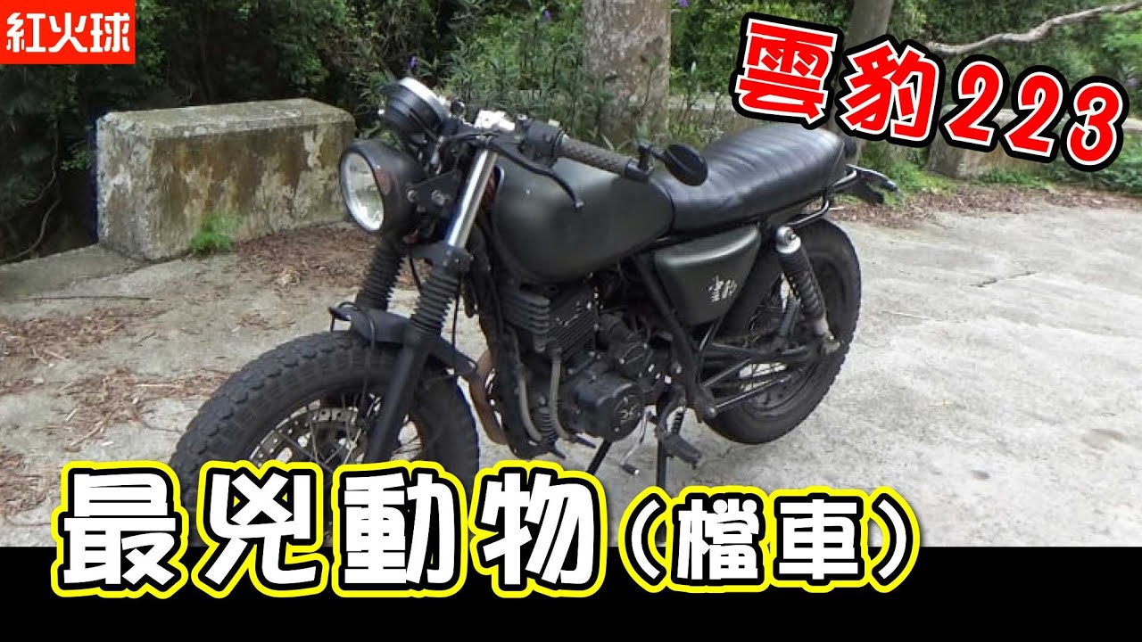 最兇的動物檔車?? 分離把萬歲 雲豹223H 試騎 (代售中連結請看資訊欄)