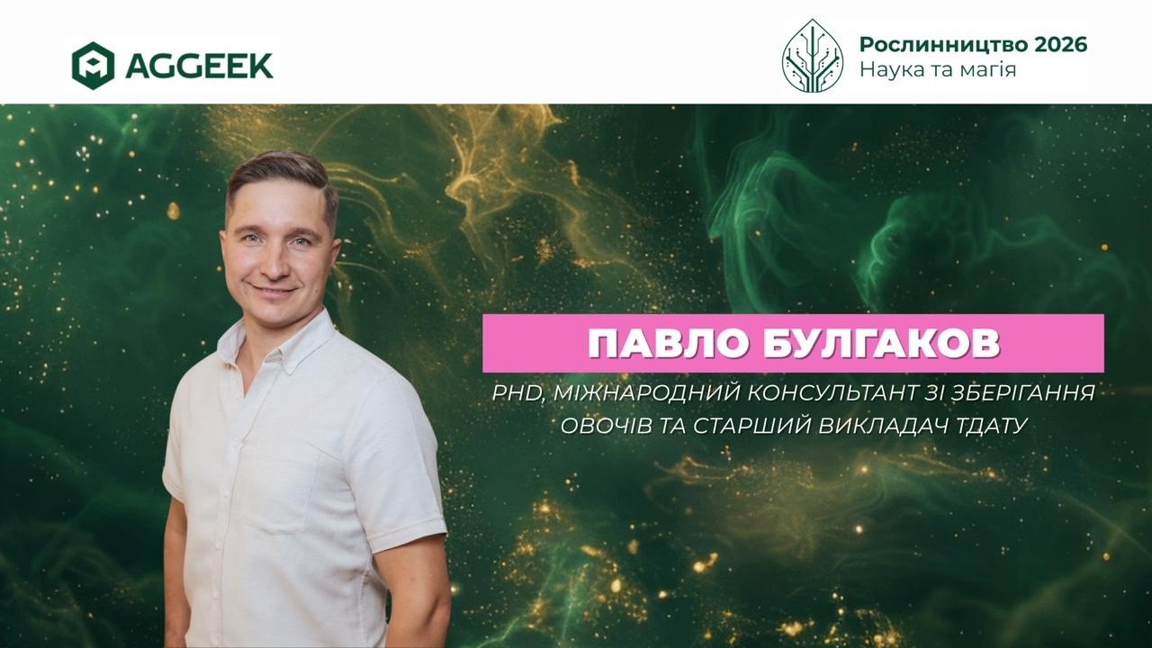 Від зерна до овочів: як уникнути критичних помилок у нішевих культурах