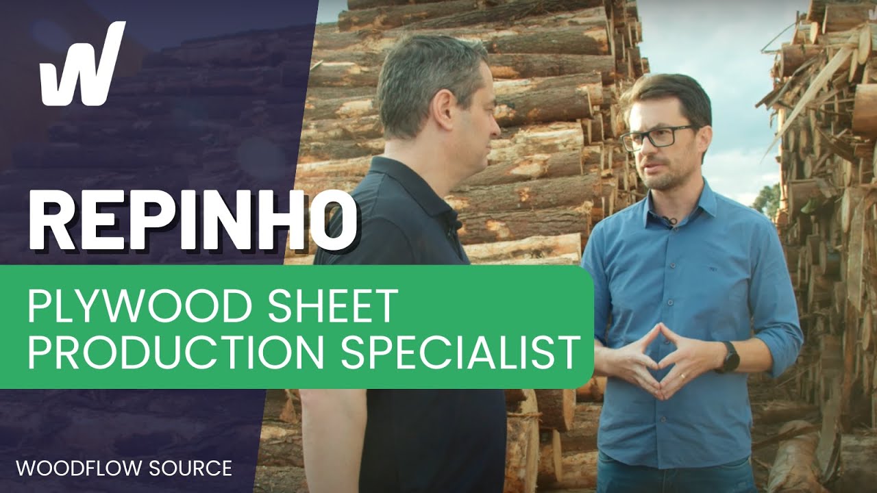 From Logs to Plywood: Exploring Repinho Compensados' Production Journey