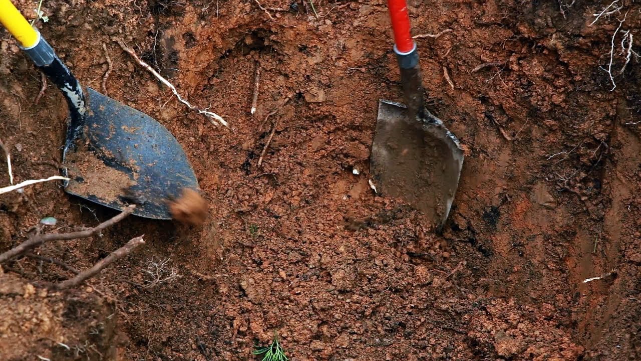 The Dead Unknown Part 2 The Exhumation
