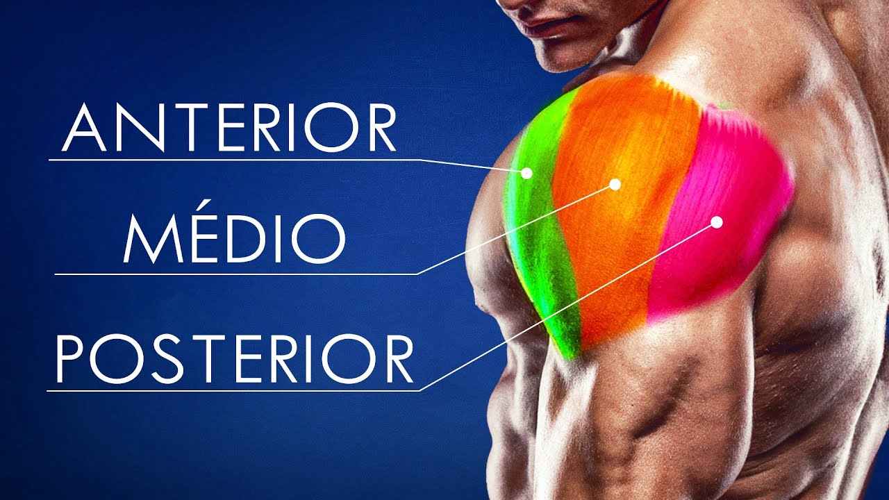 Montei a Ficha de TREINO DE OMBRO PERFEITO! (Todos exercícios e Séries)