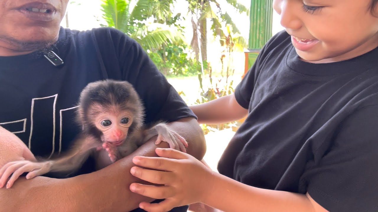 Hasna's reaction to seeing the baby monkey Coco
