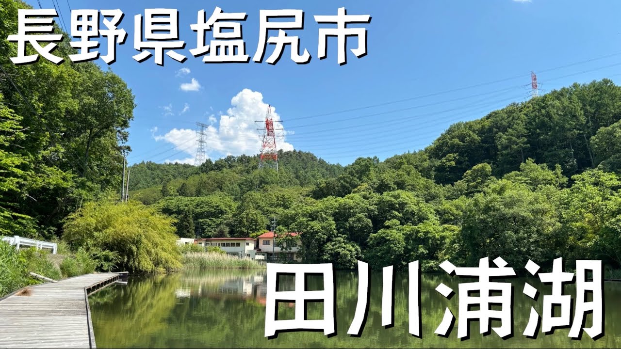 春の田川浦湖でへらぶな釣りを堪能する！【へらぶな釣り】
