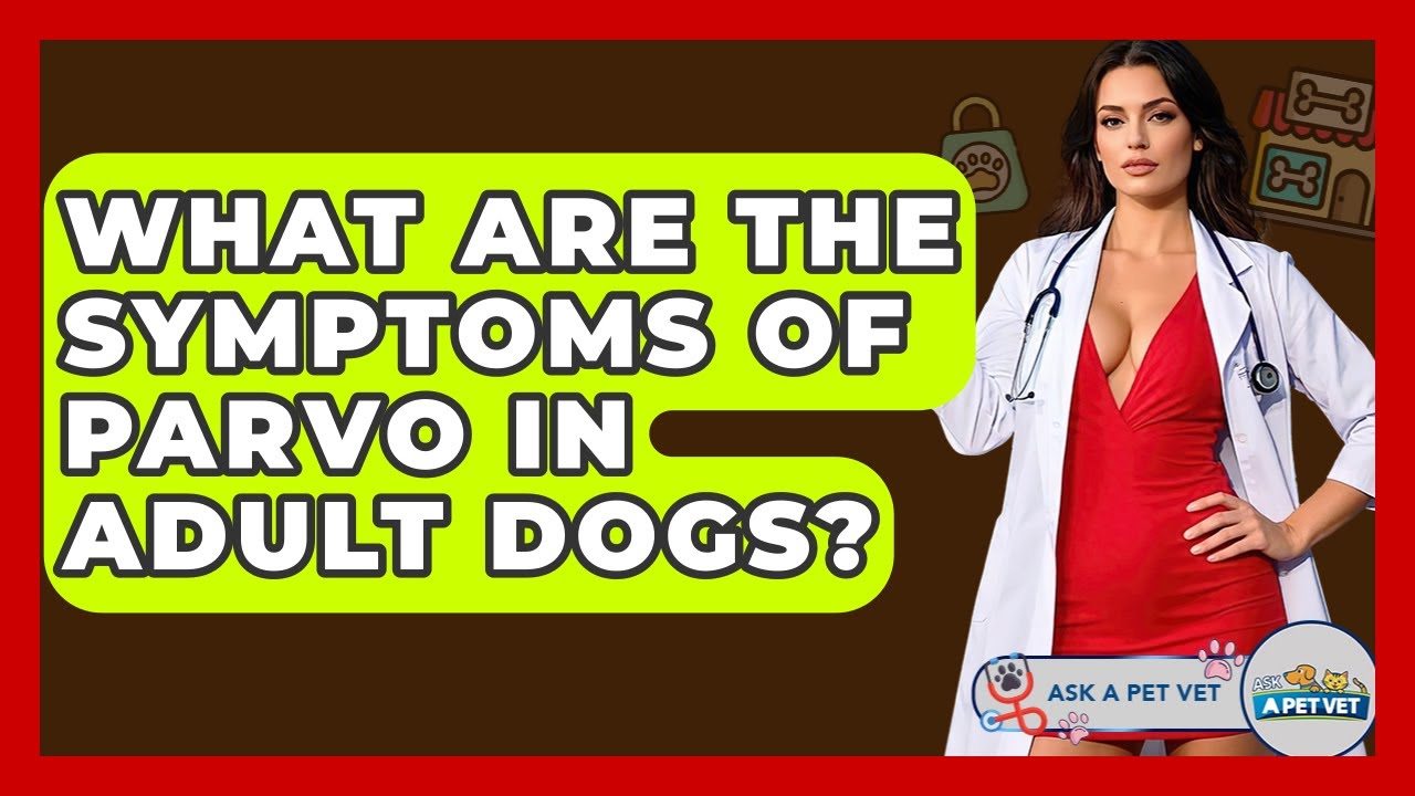 What Are The Symptoms Of Parvo In Adult Dogs? - Ask A Pet Vet
