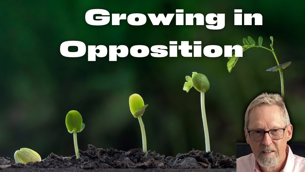 Growing in Opposition