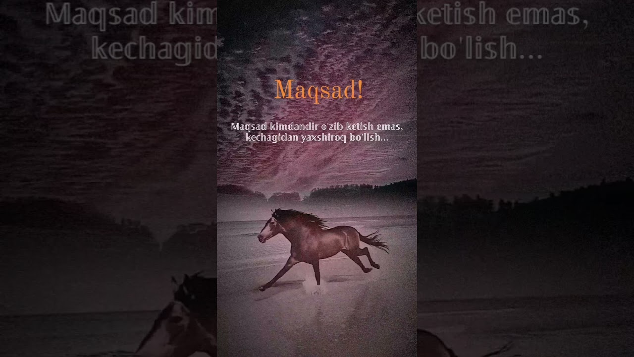 maqsad. maqsad kimdandir oʻzib ketish emas, kechagidan yaxshiroq boʻlish #motivation