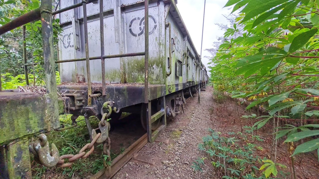 RANGKAIAN KERETA DITENGAH SEMAK SEMAK AKAN DICACAH BUAT REAKTIVASI !