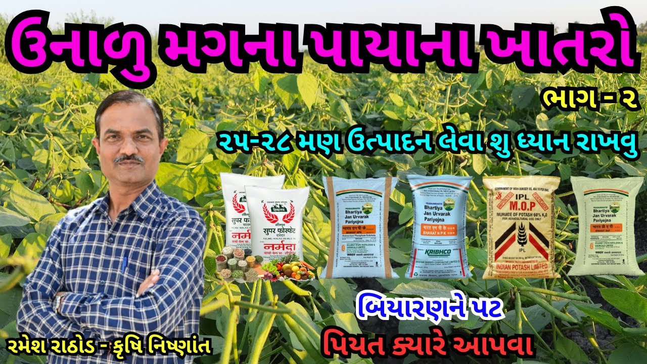ઉનાળુ મગ માં ૨૫-૨૮ મણ ઉત્પાદન માટે પાયાના ખાતરો | પિયત કયારે આપવા | બિયારણને પટ | Greengram | ભાગ -2