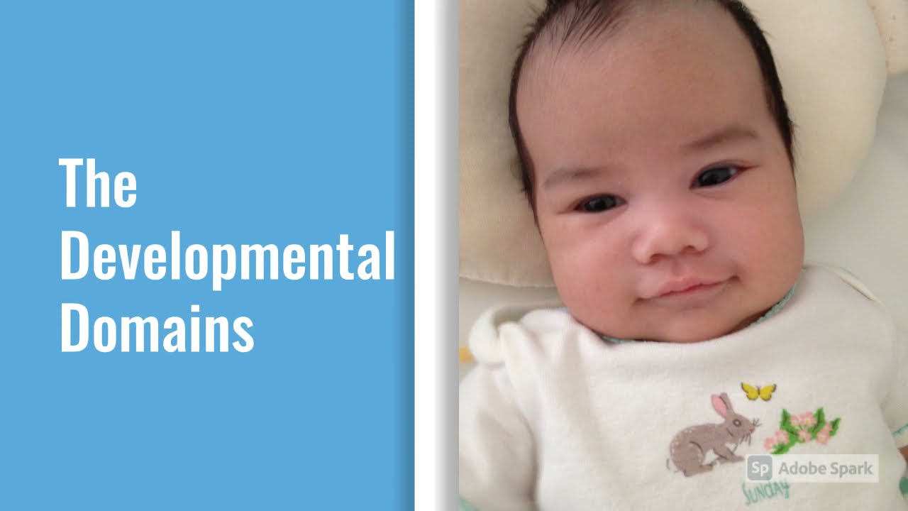 The Developmental Domains