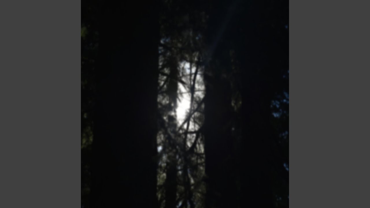 Perceptive