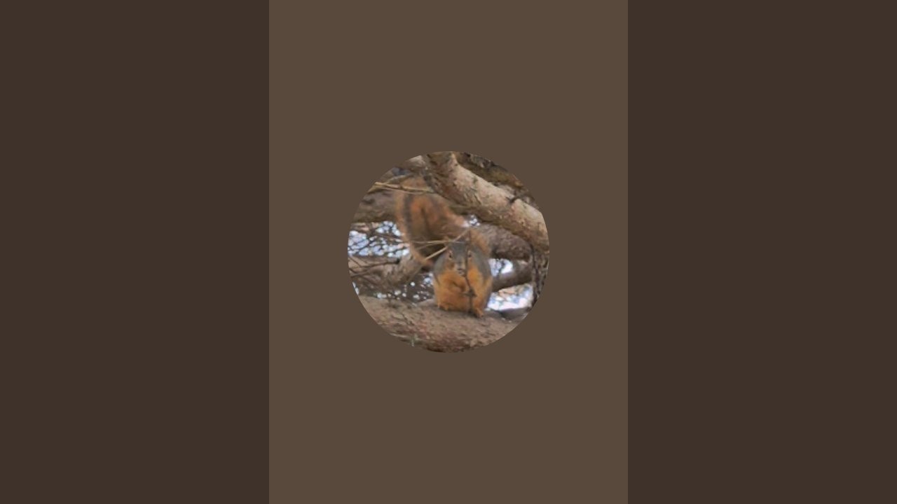 Kathy-krapwpc-seeds of warmth is live!