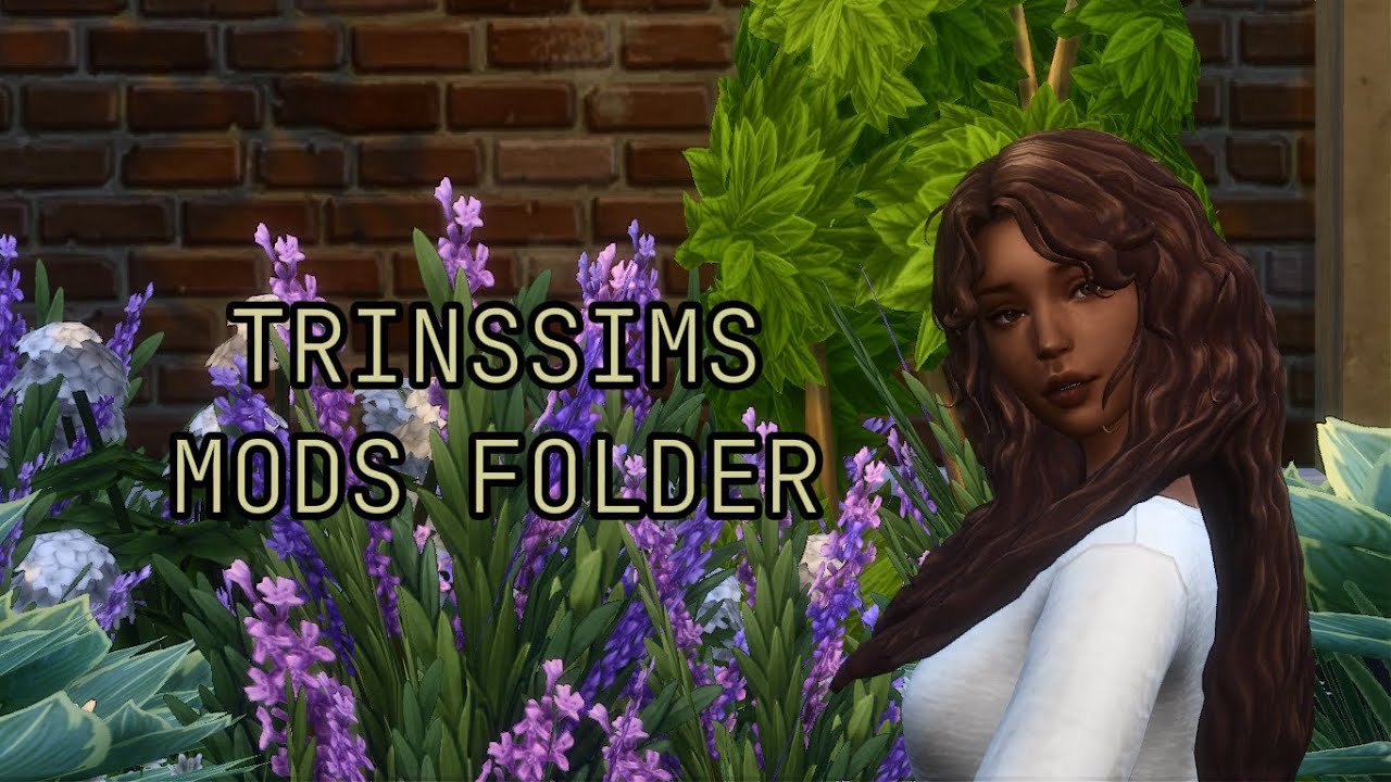 Trinssims Mods Folder
