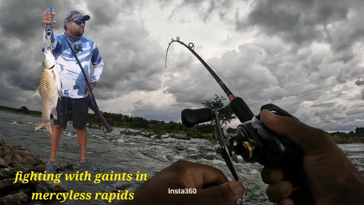 Masheer fishing in kauvery 