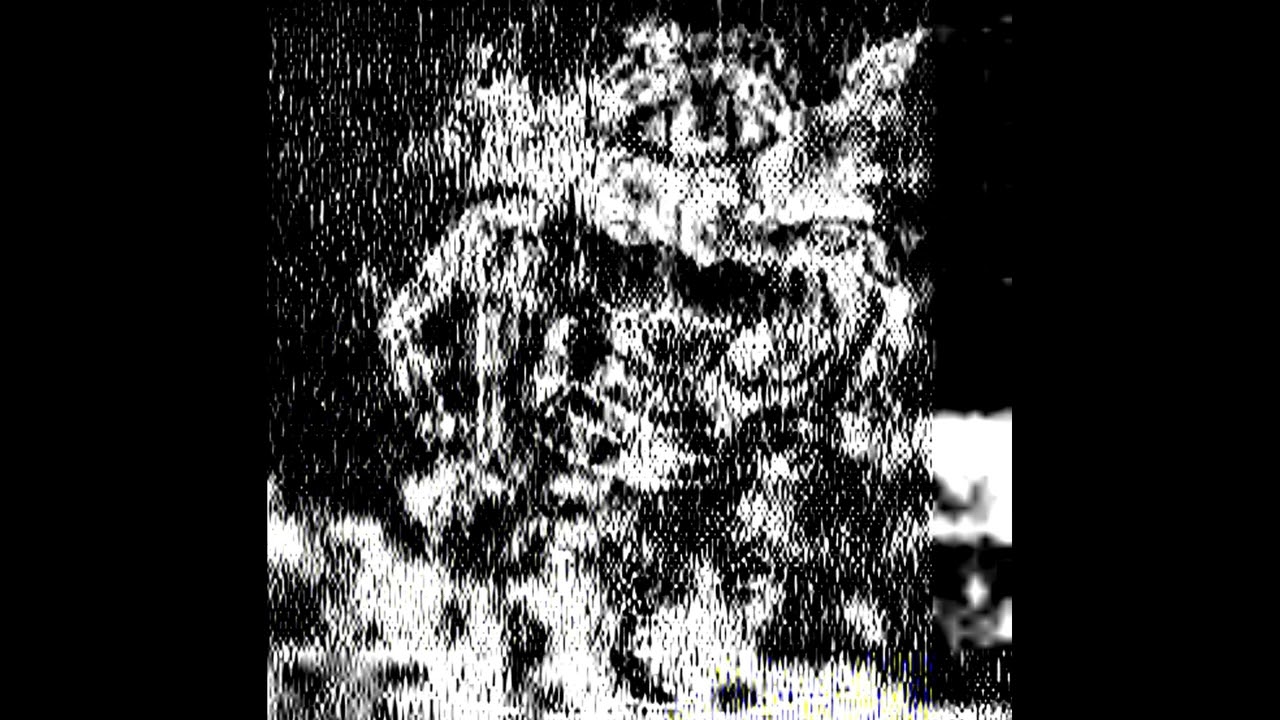 HELP_TALE: The ALLDOG