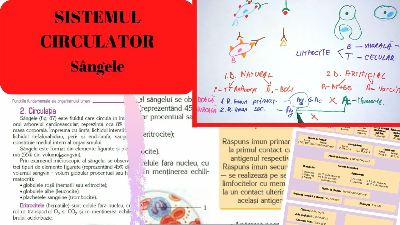 ADMITERE MEDICINA: SISTEMUL CIRCULATOR 1: Sangele