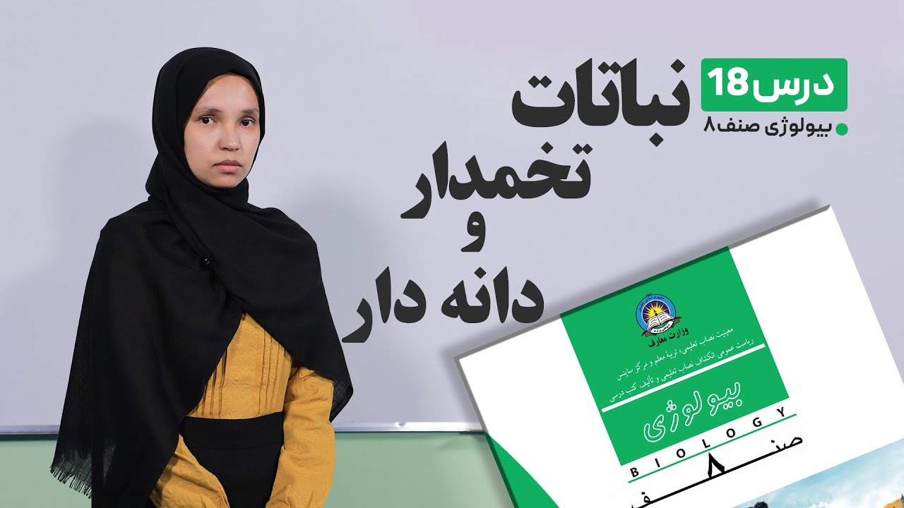 بیولوژی صنف هشتم –جلسه هجدهم- موضوع:نباتات تخمدار- دانه دار-29-3-1401
