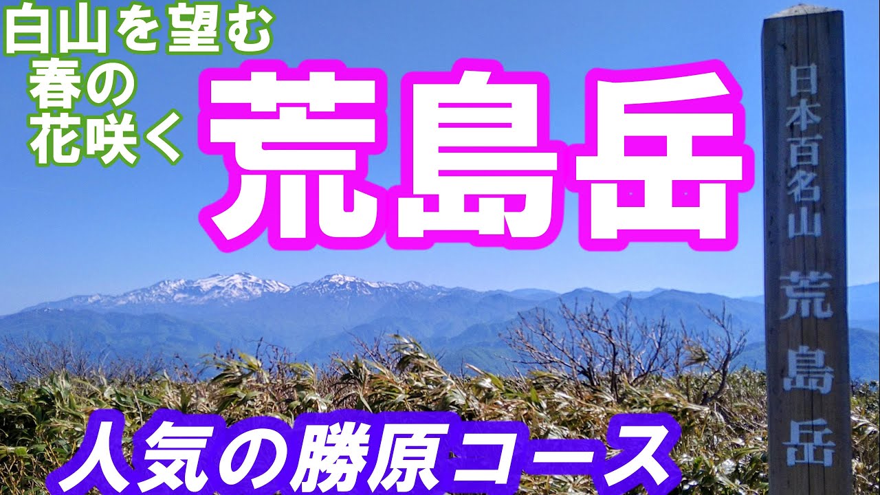 白山を望む春の花咲く荒島岳　絶景の勝原コース　ArtlistBGMで登山動画　Google Earth Proの地図でわかりやすい登山道案内、動画と写真で百名山の山座同定を