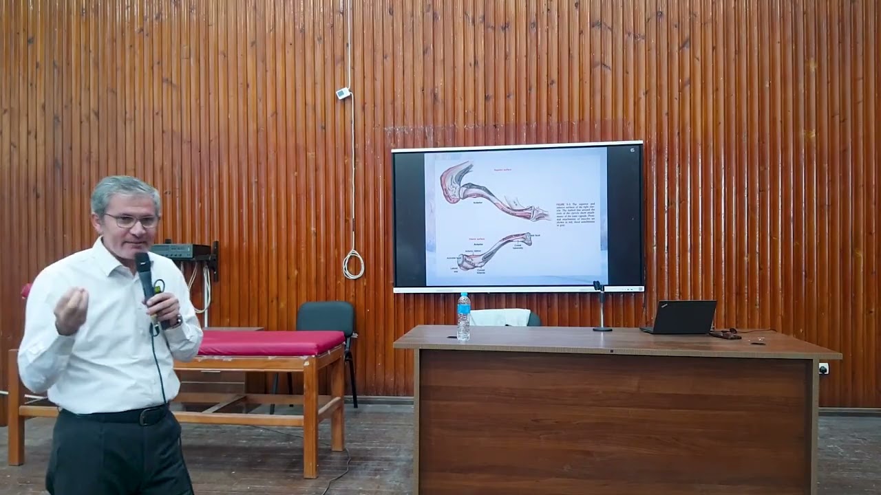 Shoulder Biomechanics Part 2 