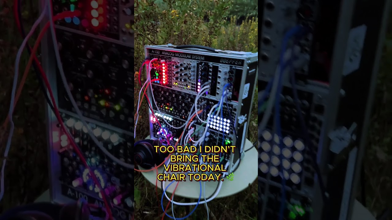 The Living Vibration of Plants | 432Hz Bioelectric Music Experience