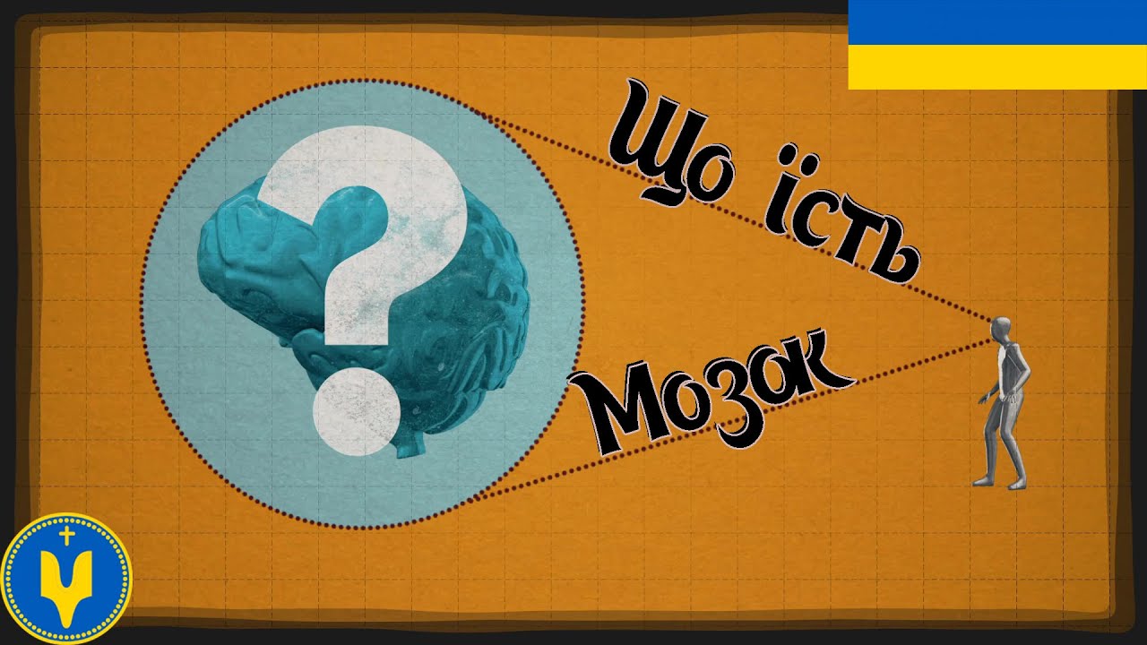 Як їжа впливає на ваш мозок - Міа Накамуллі [TED-Ed]