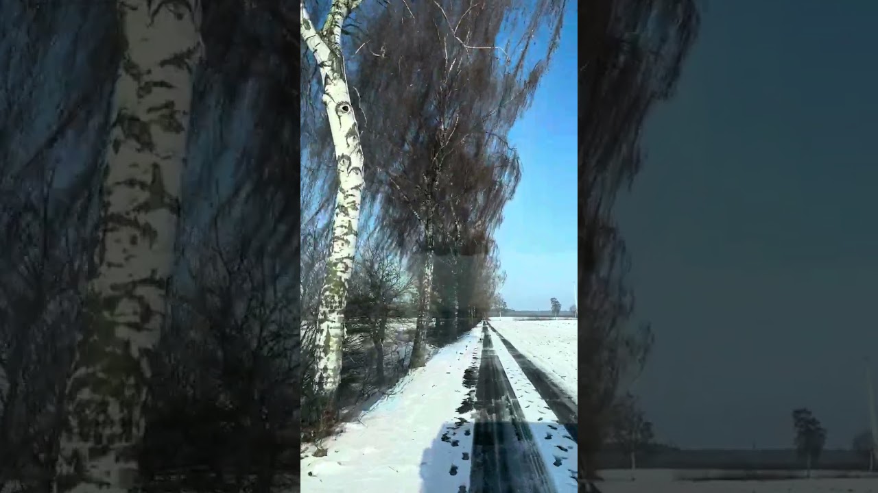 سورة الرحمن (الريف الألماني)