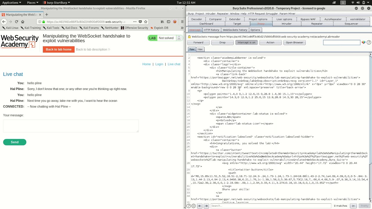 Manipulating the WebSocket handshake to exploit vulnerabilities