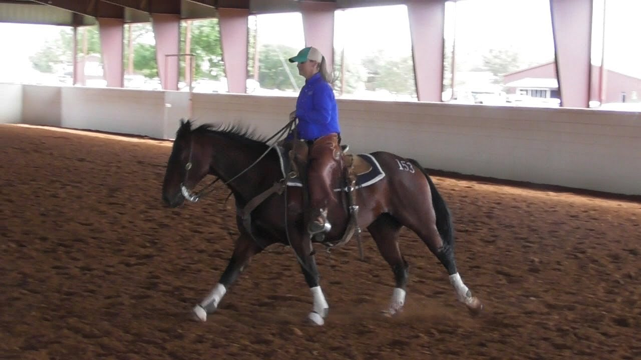 6666 Ranch: Demonstrating Quarter Horses For Sale - Return To The Remuda 2018 - Part 1