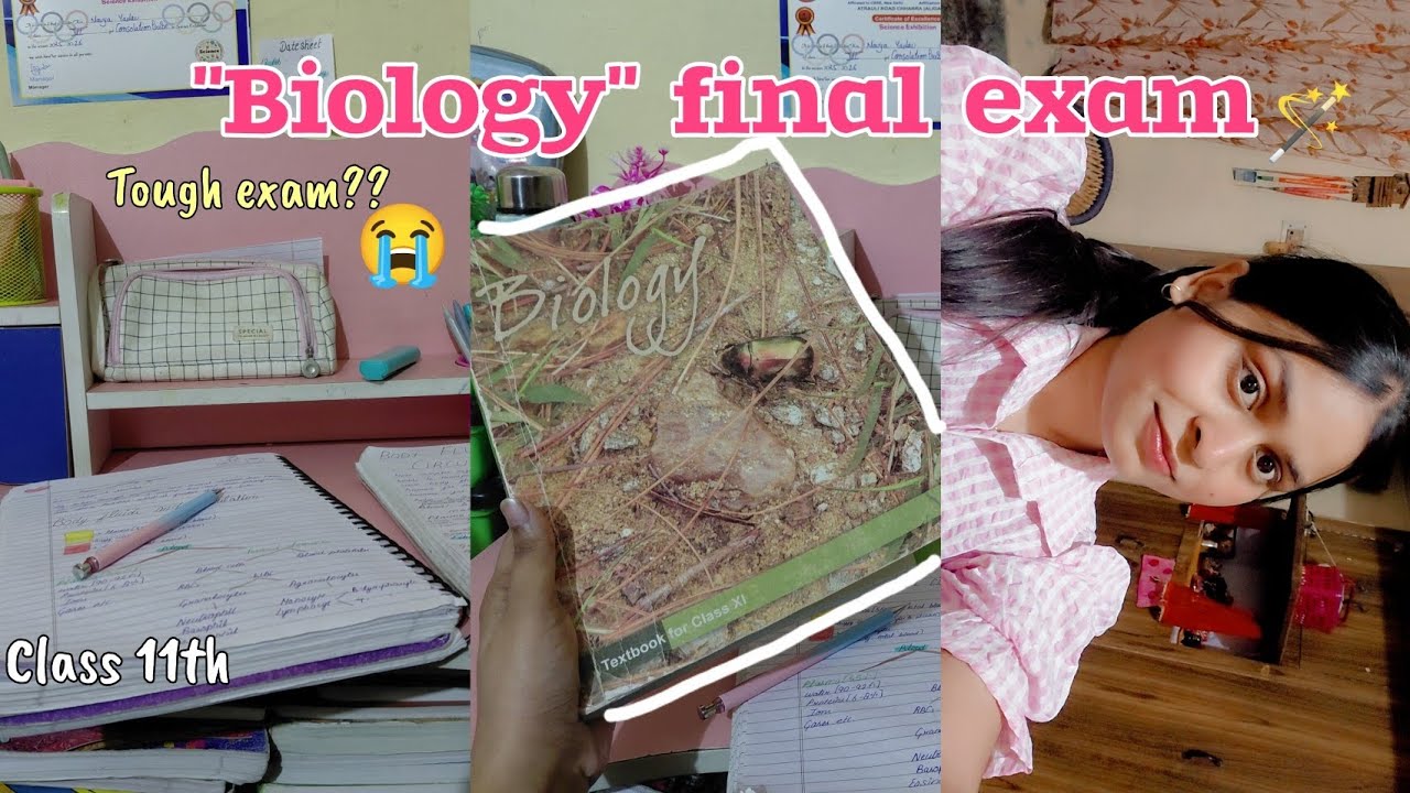 The end game!!...😭🪄 | class 11th | Diksha | 
