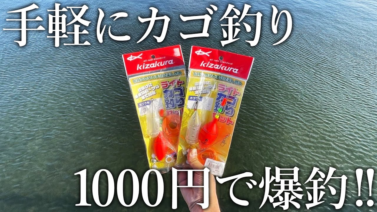 たった1000円で規格外の青物が連発！初心者用ライトカゴ釣り仕掛けの本気がやばすぎました…